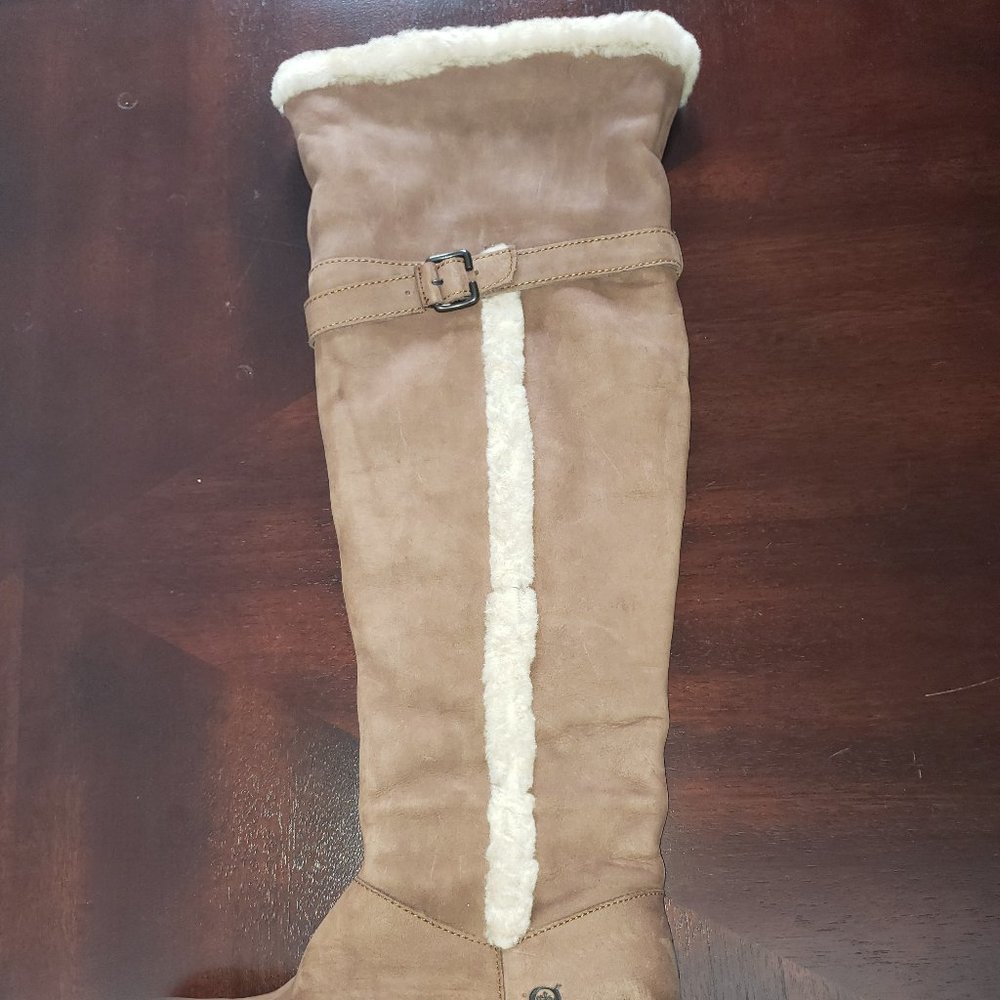 BORN Burnished Calf Knee-high Boots - Picture 15 of 16